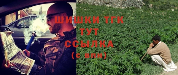 ПСИЛОЦИБИНОВЫЕ ГРИБЫ Алексин