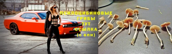дистиллят марихуана Алзамай
