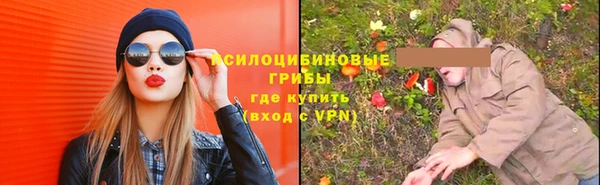 ПСИЛОЦИБИНОВЫЕ ГРИБЫ Алексин