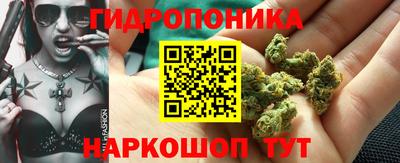 PSILOCYBIN Кулебаки