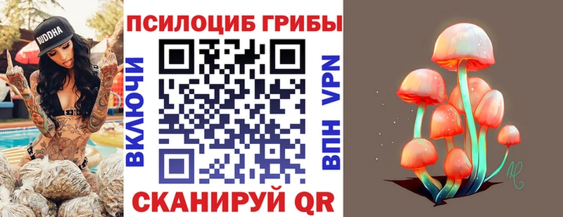 Галлюциногенные грибы мицелий  Гурьевск 
