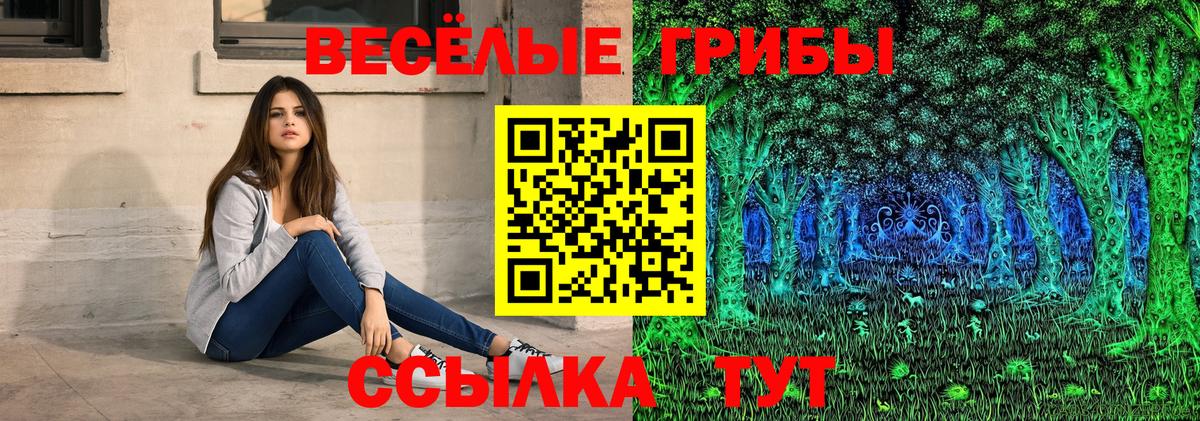 Галлюциногенные грибы Magic Shrooms Гурьевск