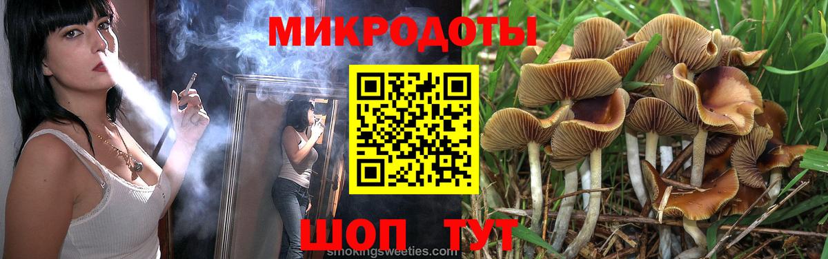 Гурьевск  Псилоцибиновые грибы GOLDEN TEACHER  Вход с VPN 